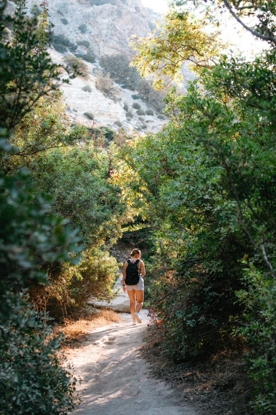 Person walking alone on a nature trail, representing coping strategies and long-term recovery support through CBT therapy for binge eating and emotional eating.
